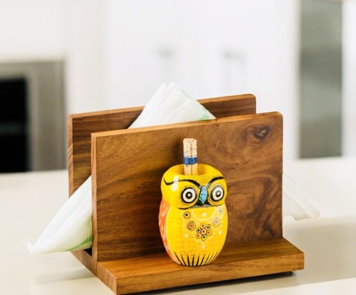 Hand Painted Owl Toothpick And Napkin Holder